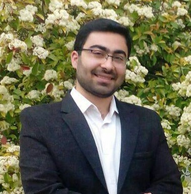 سید حسین هاشمی
