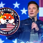 دولت یا شرکت تجاری؟؛ واکاوی علل شکست طرح DOGE ایلان ماسک در دولت ترامپ