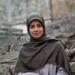  تنظیم‌گری تنظیم‌گران؛ الگوی جدید حکمرانی فضای مجازی کشور